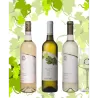 DEGUSTAČNÝ SET Bovinel